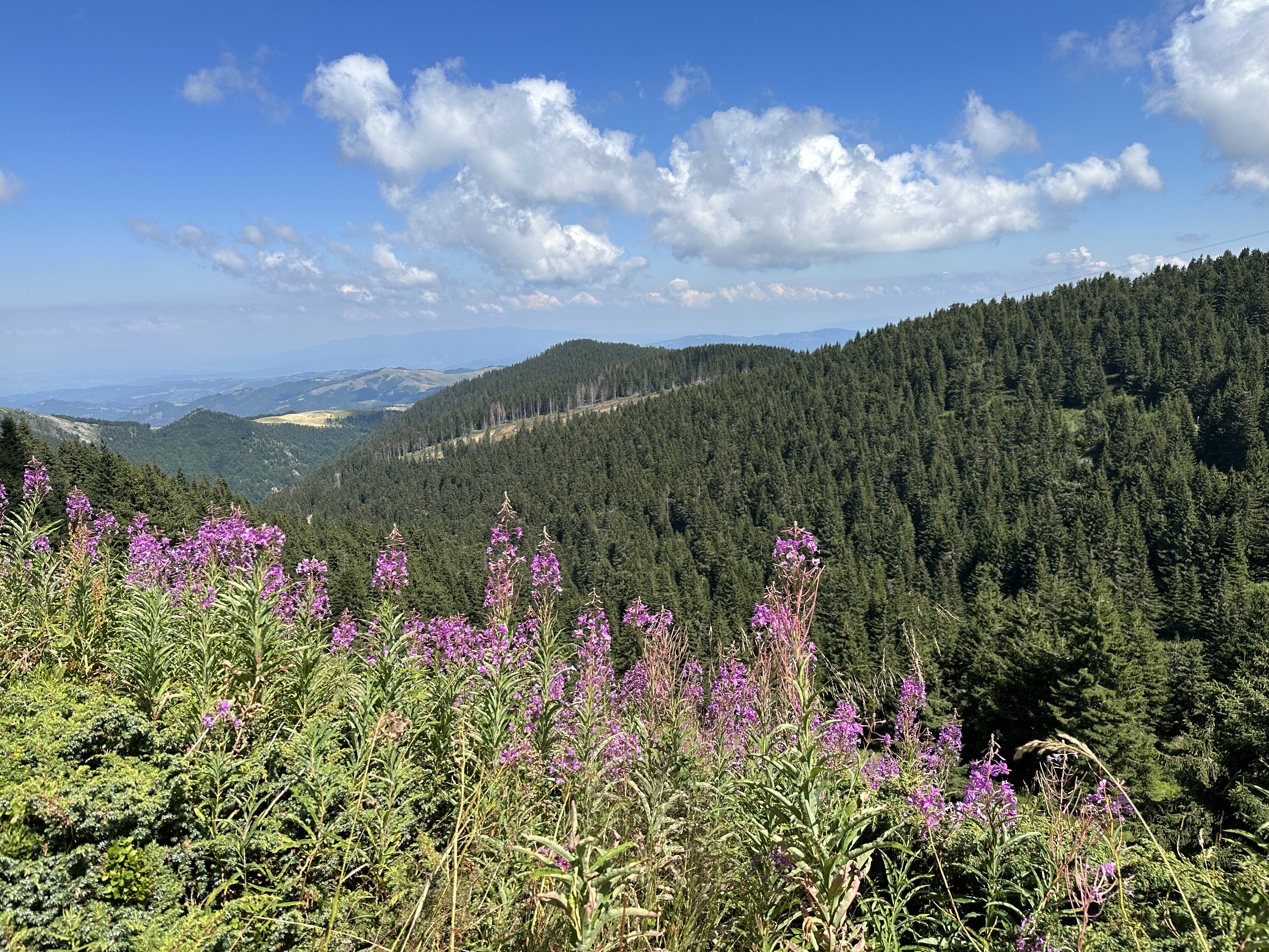Kopaonik, Serbia